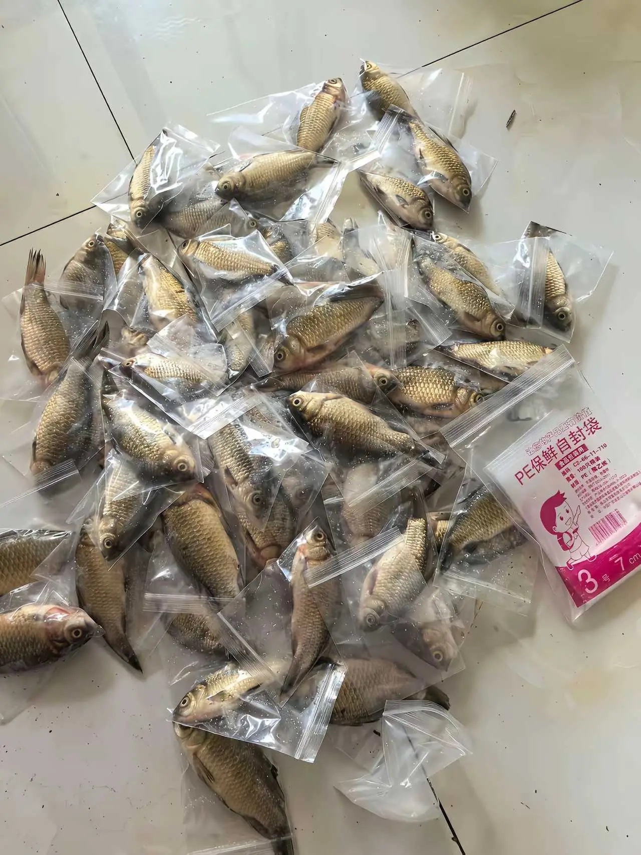 费劲！以后钓鱼带着包装袋！ 