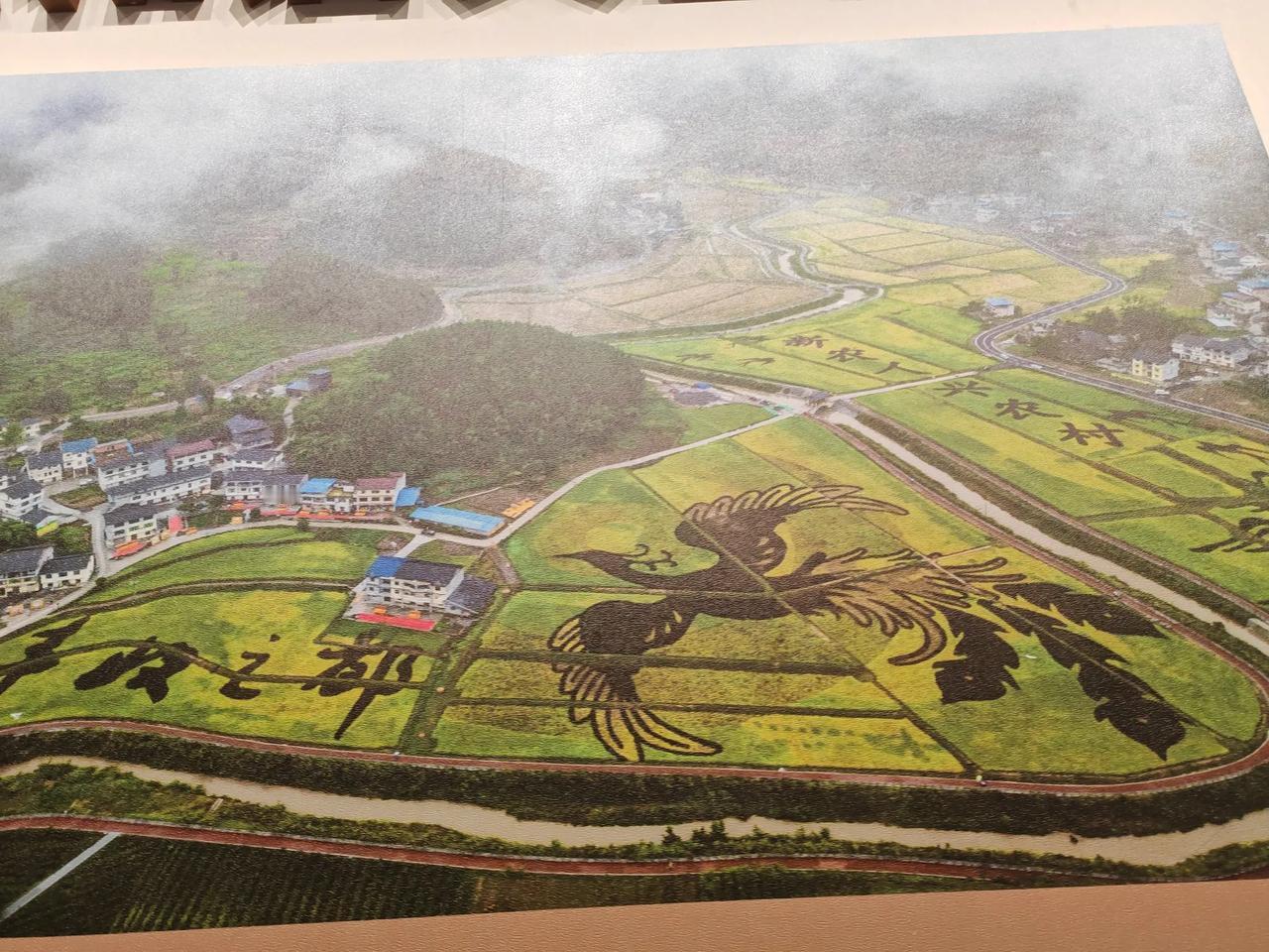 晨曦

临河先生
 
晨曦晕染
孕育着几缕希望
太阳从山峦后探出熠熠光芒
好似温