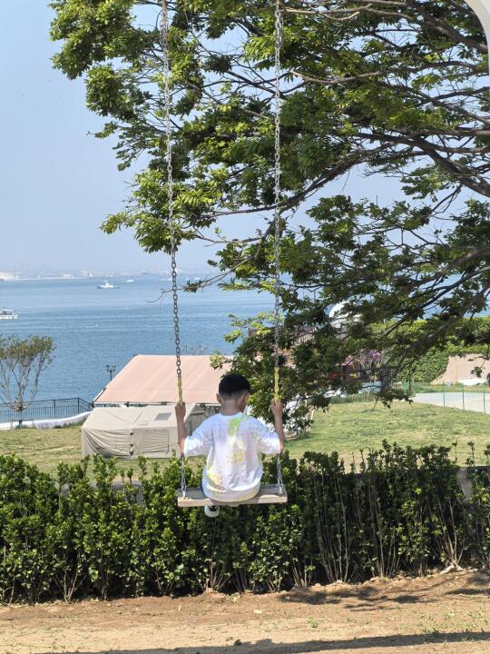 记住青岛这两只秋千 有成为打卡地的潜力