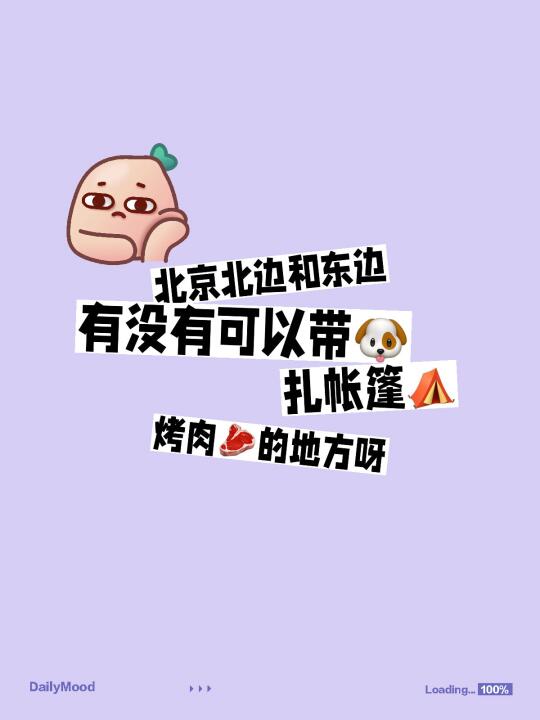 明天想带小狗出去玩～