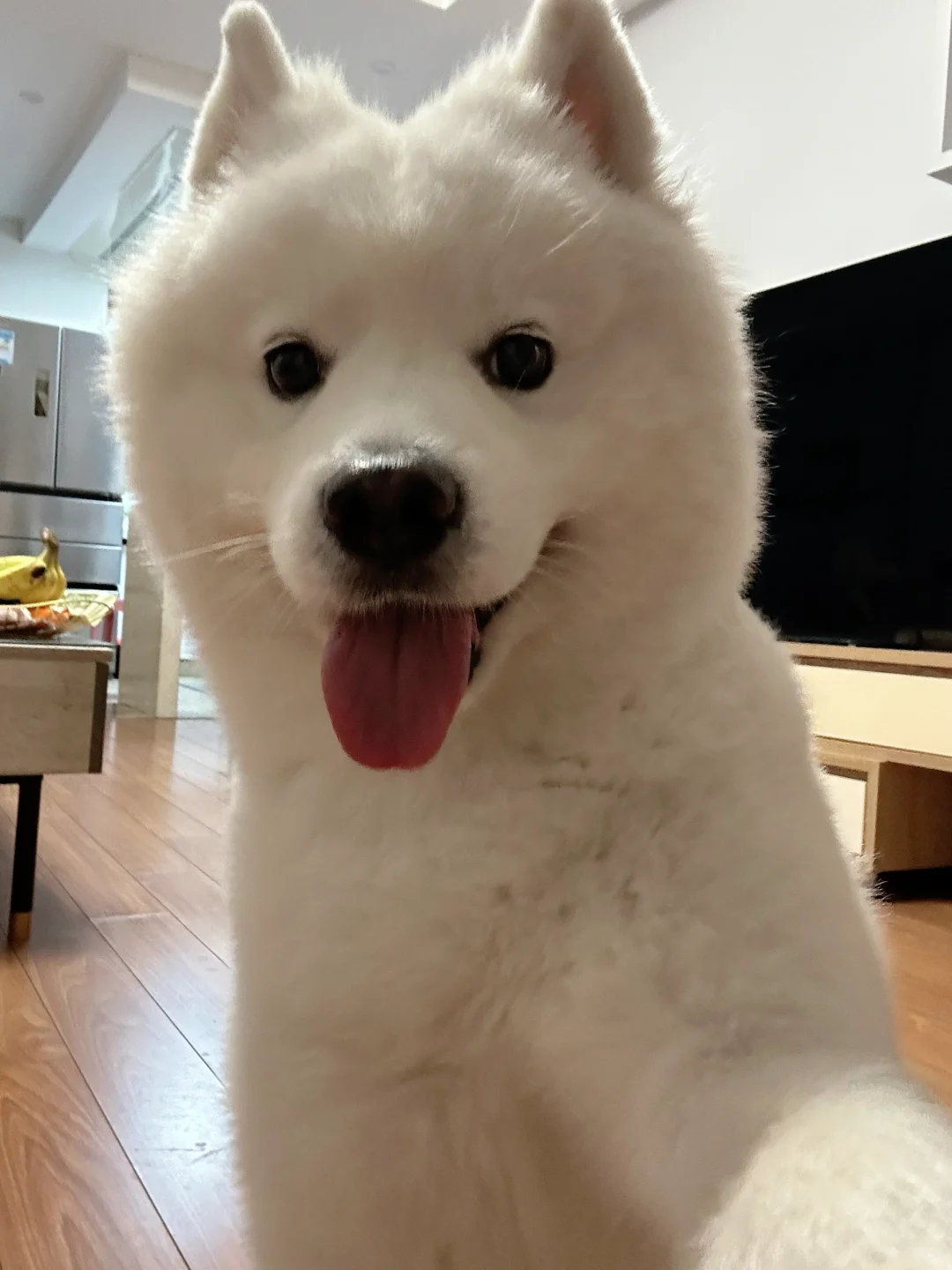 耶耶自拍