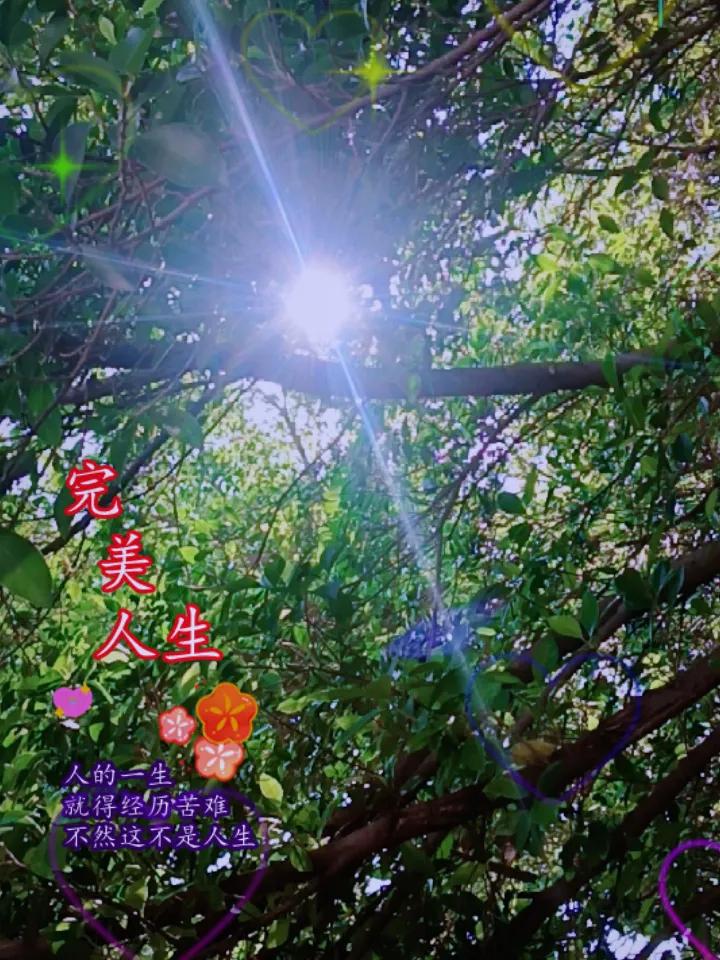 一张照片记录今日份美好广东台风过后尽是美好！