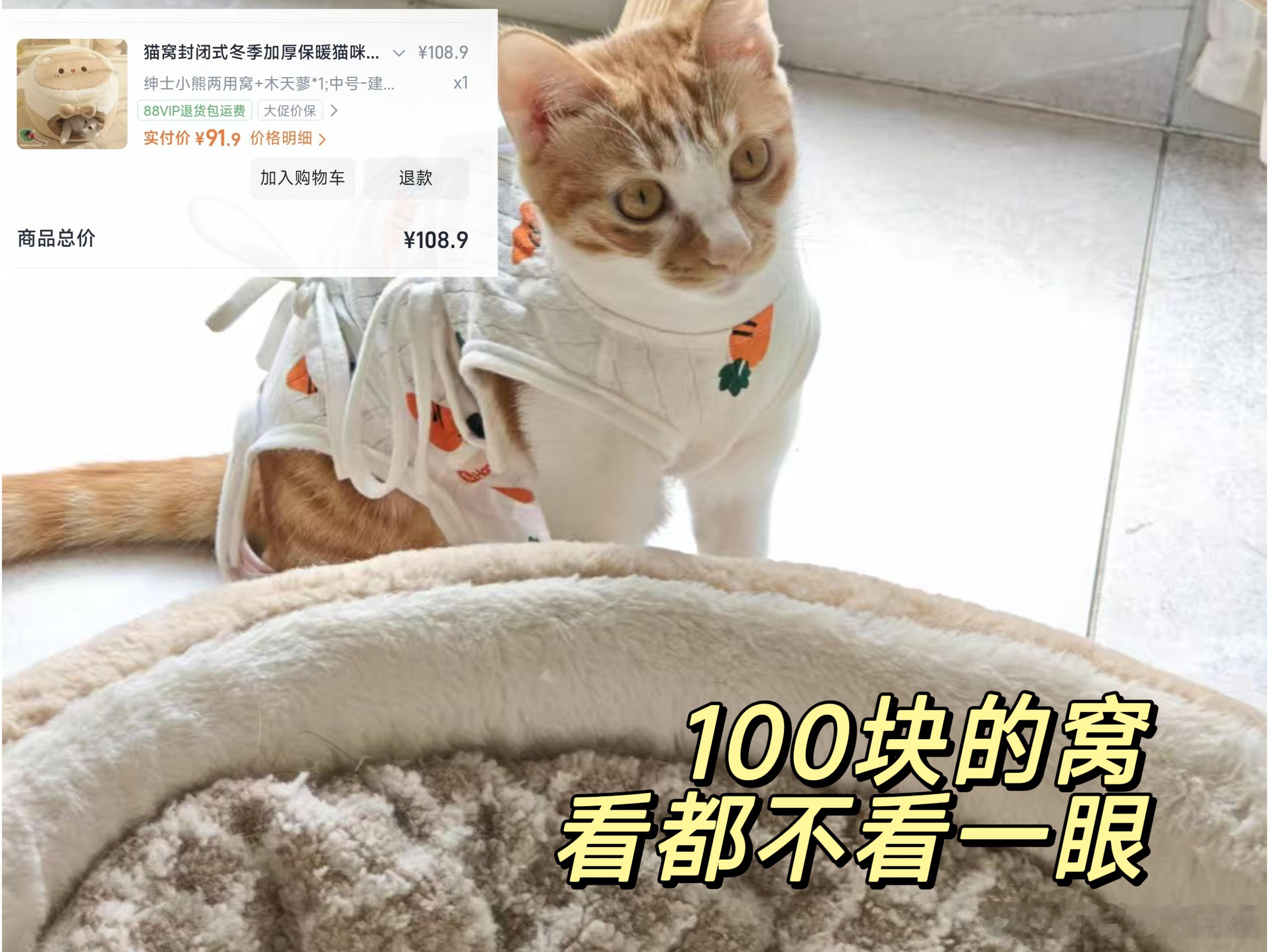 这个双十一我为猫主子花了多少钱救命了，618淘宝买的冻干试吃还没开封，今年双11