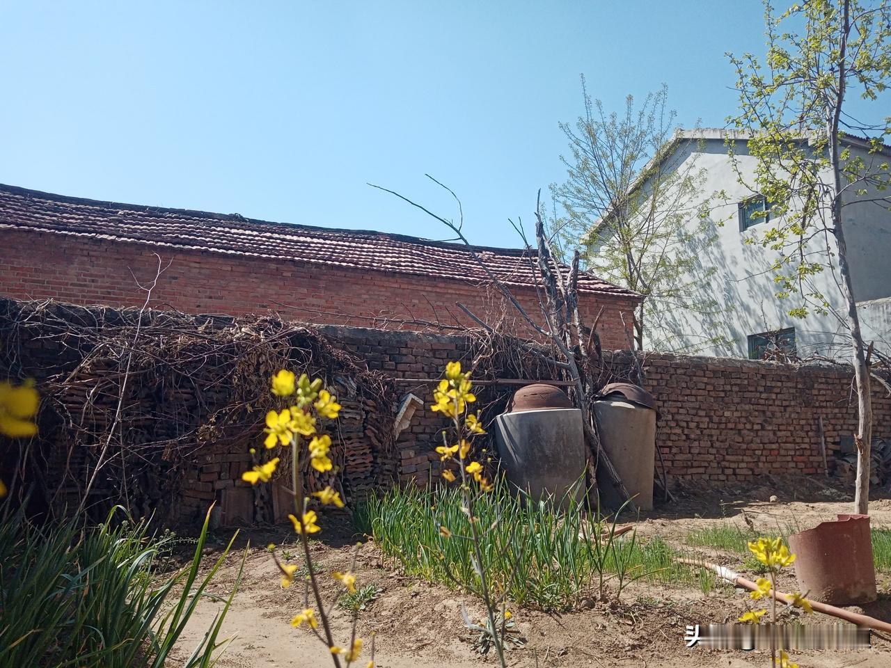 老农谚
热不热，就看二月十九
二月十九早看天，知冷知热早预见
二月十九晴，三月单