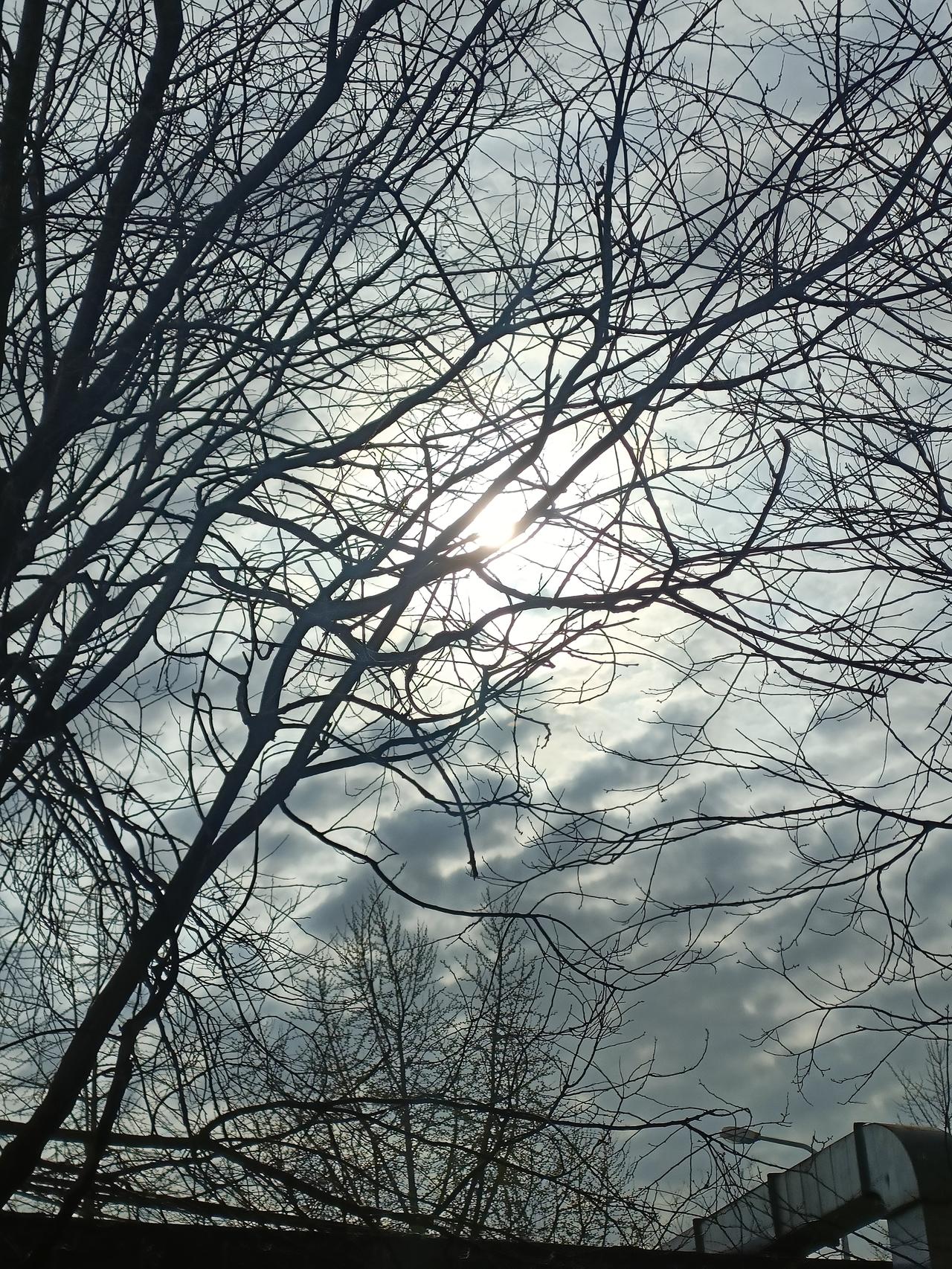 记录我的2026清明节快到了，天气阴沉，云层加厚，清明时节可能会迎来雨纷纷