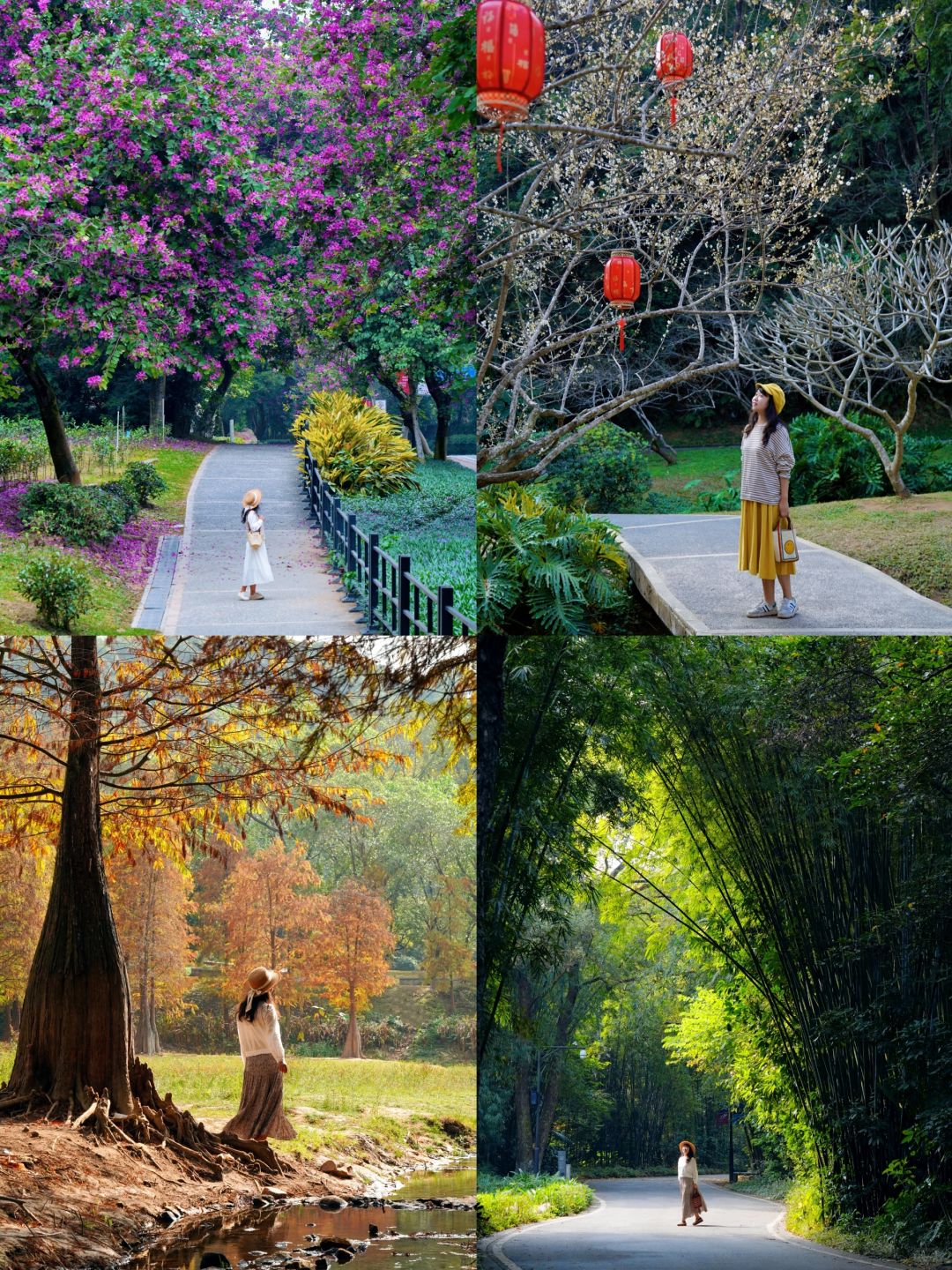 在广州！反复去了789次还想再去的白云山