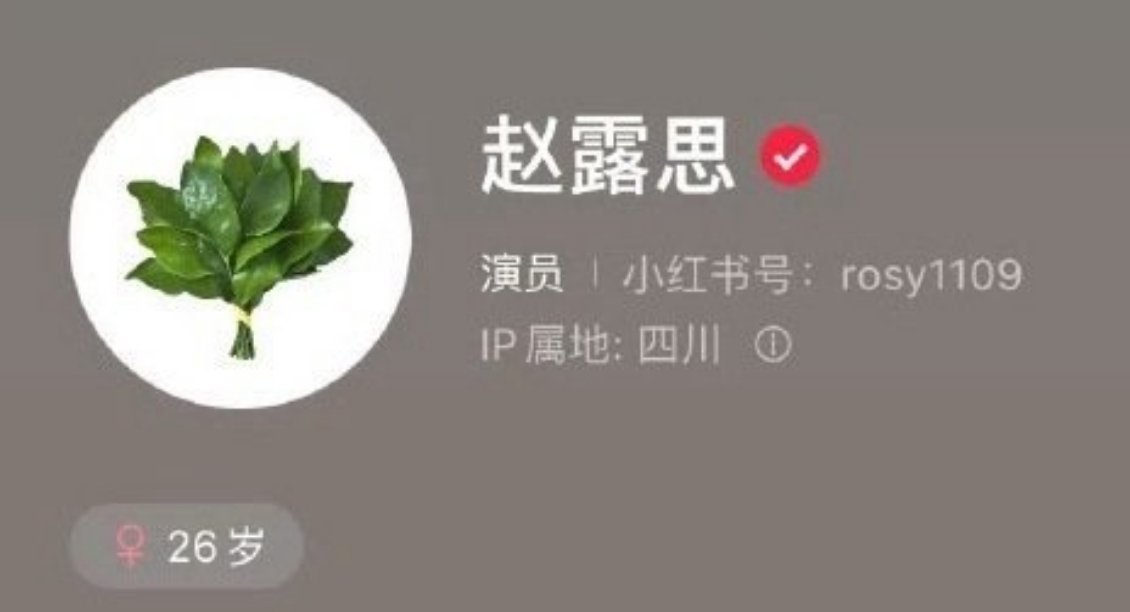 赵露思小红书的新头像 ​​​