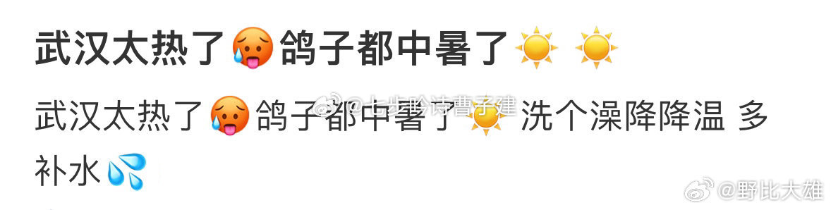 武汉鸽子中暑这也太离谱了吧 ​​​