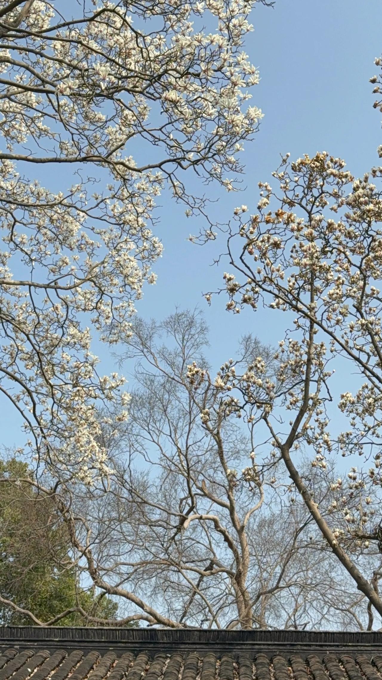 随手拍，记录美好瞬间