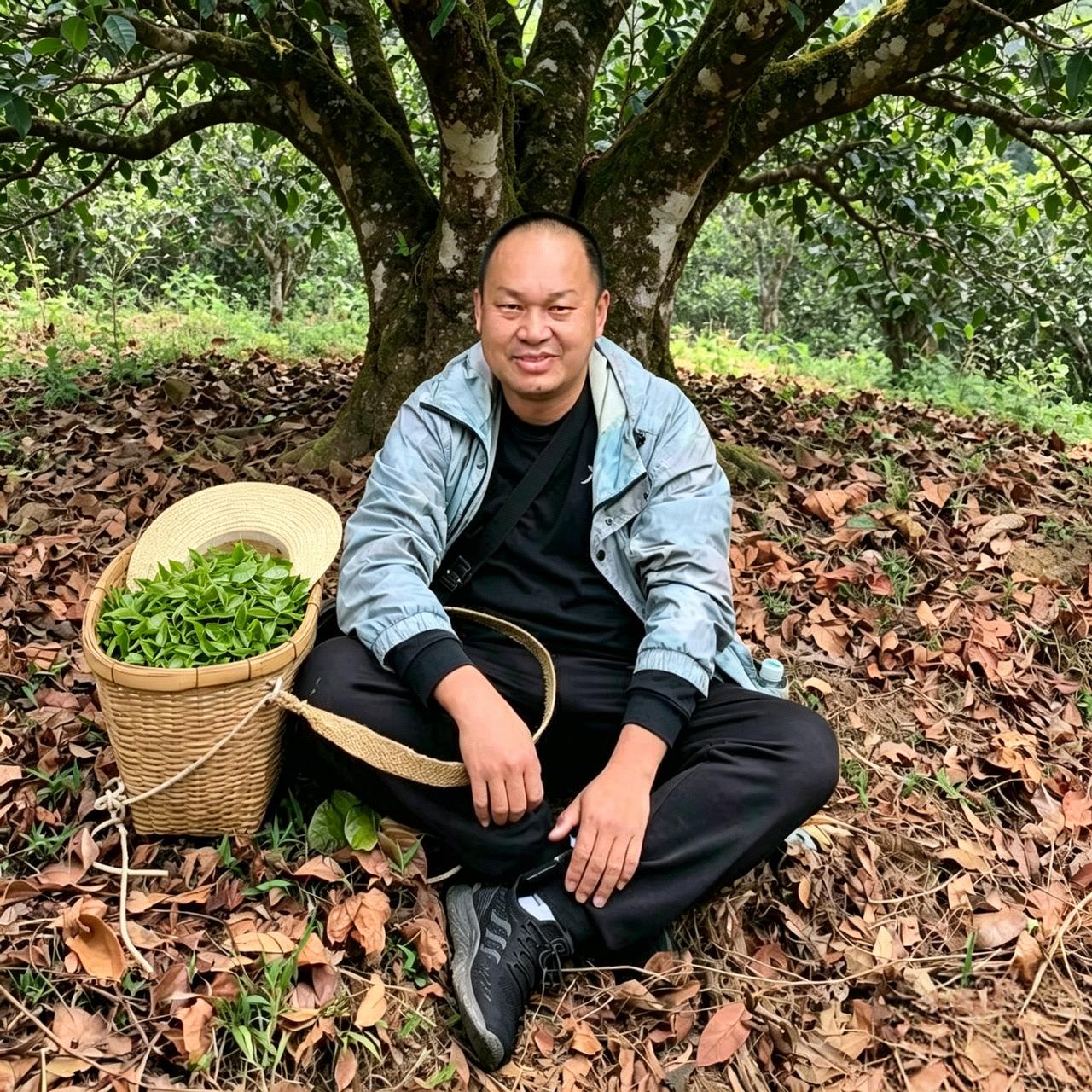 诺隐若现，少言
