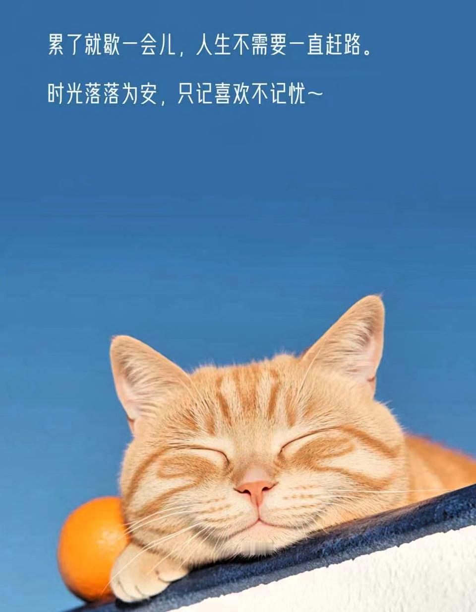 高考结果出来了，孩子累了就歇会儿，人生不需要一直赶路，时光落落为安，只记喜欢不记