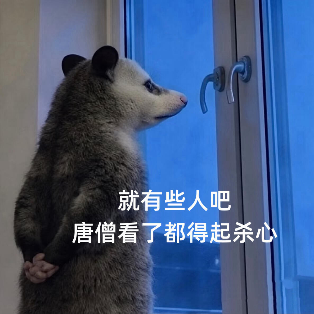 望天，你们以后骂屈狗之前能不能先对对词儿？上个月还说：水滴放弃屈狗了，屈狗如丧家