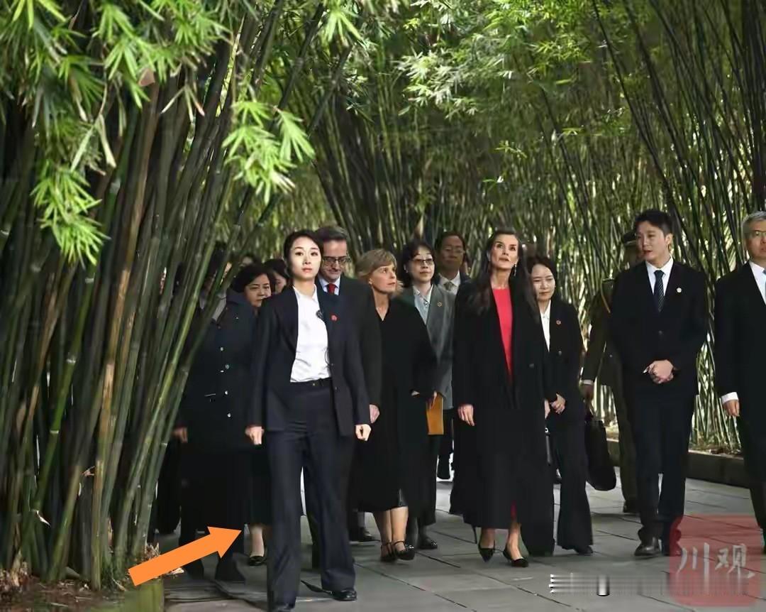 西班牙王后在成都望江公园，一行人穿梭于竹林。

C位的王后当然引人注目，但是边上