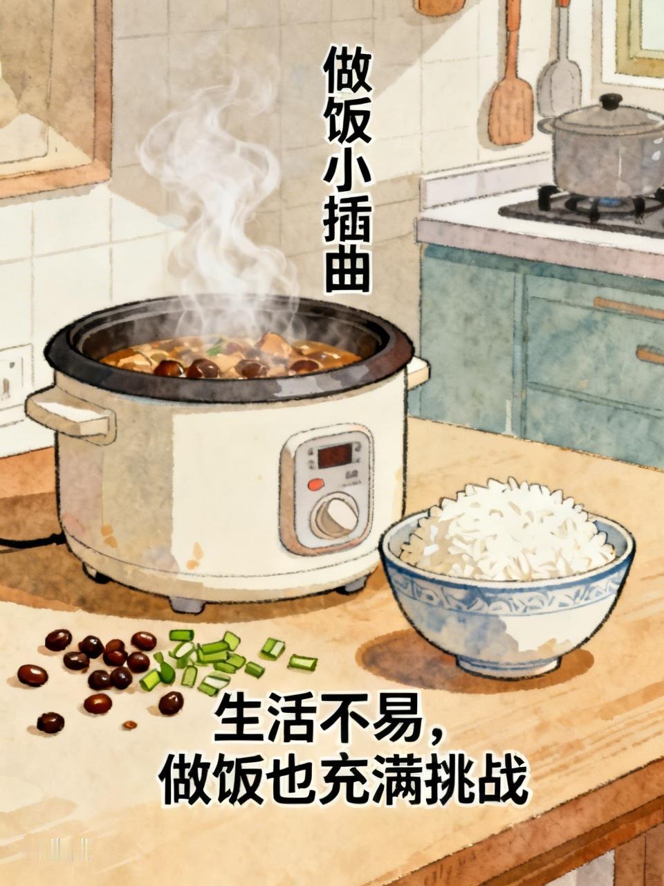 今天做饭真是状况百出。我做的肉不多，还好不多，放蒸饭器里了。结果有人拿东西的时候