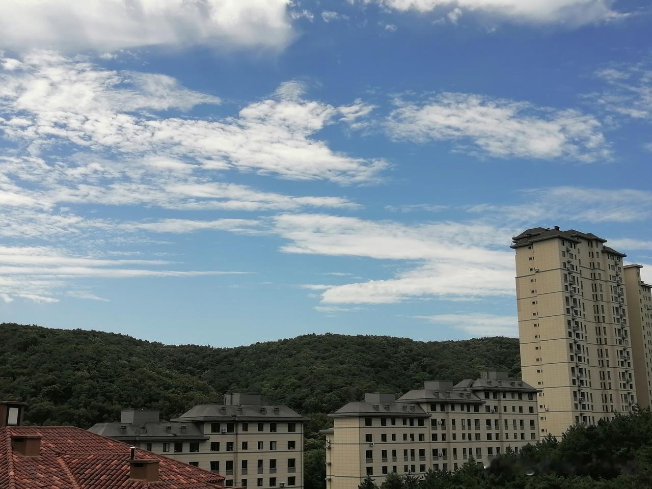 时间过得真快！转眼盛夏已过秋风起，迎来了又一年的秋爽，清爽的秋风轻轻掠过脸颊，身