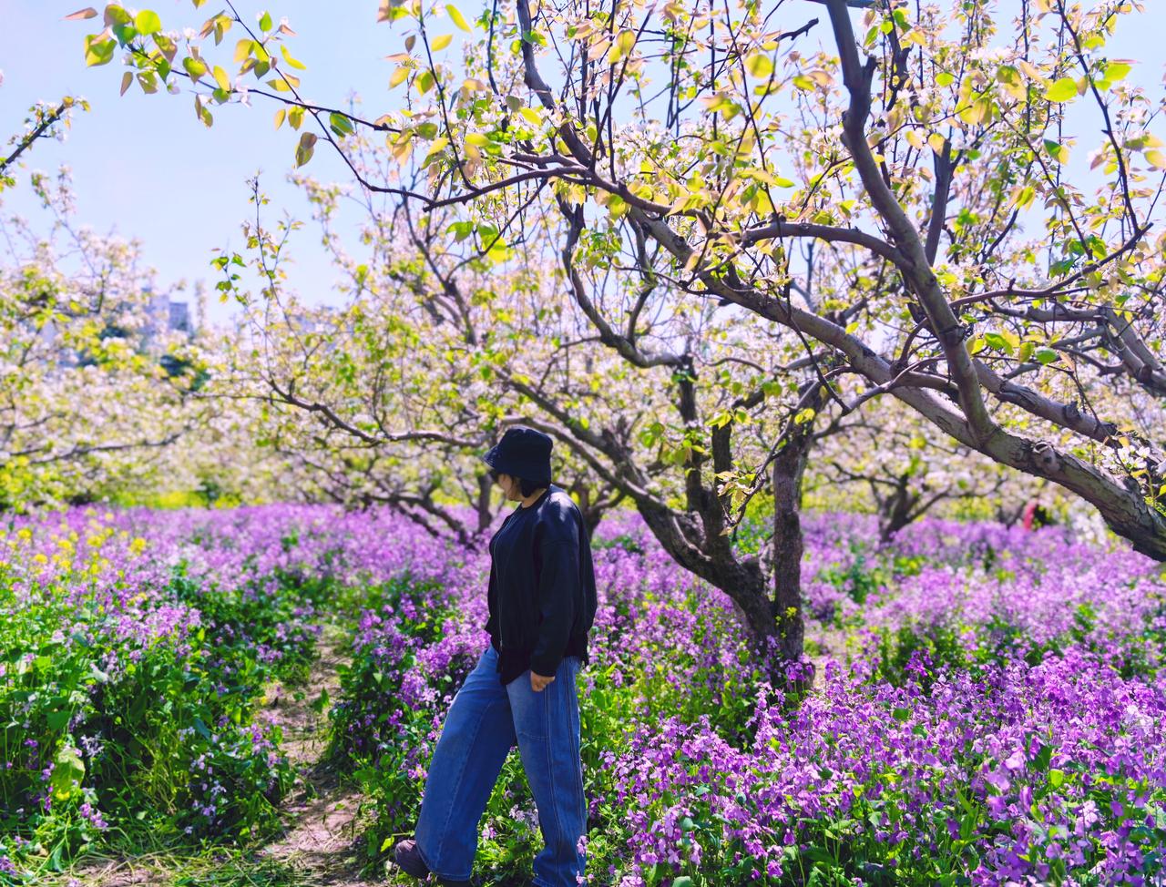莫道桑榆晚
生活，
不要碰到一点压力，就把自己变成不堪重负的样子。
不要碰到一点