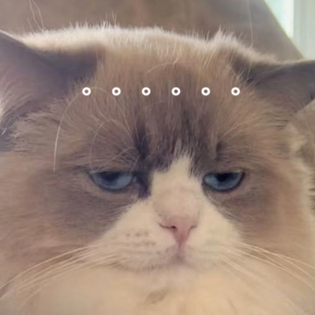 看着qjf这三个字很晦气 沙币去死 