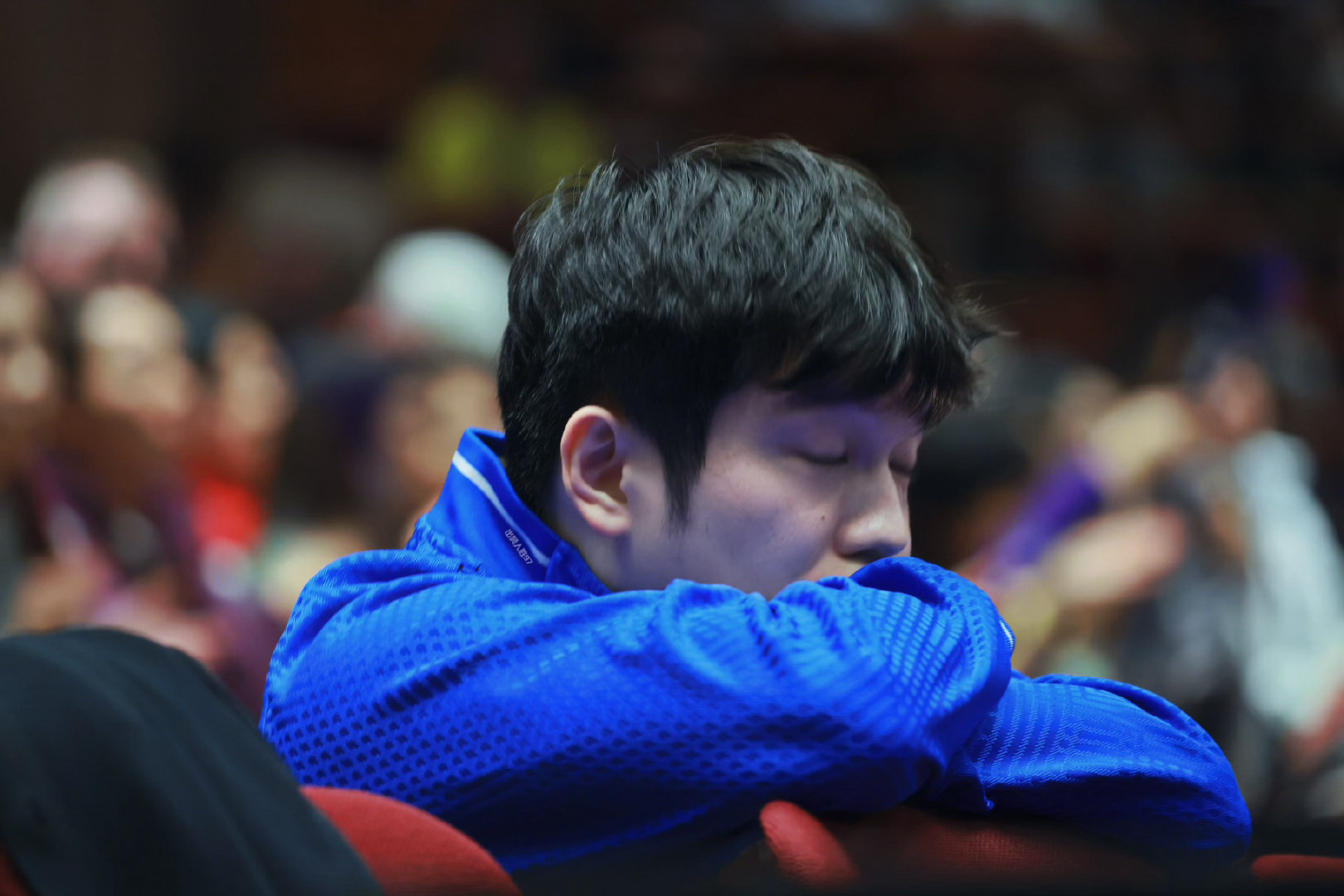 此刻我猪和妈咪共脑了 