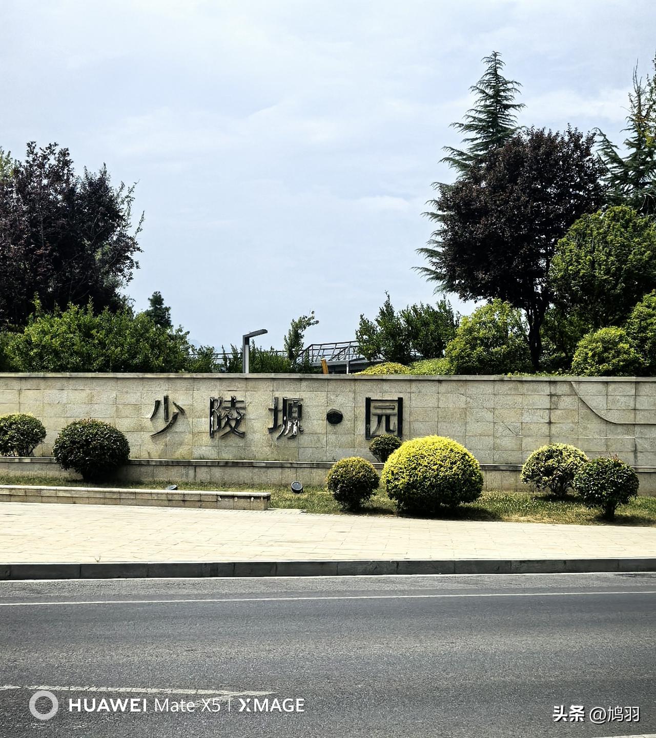 今晨九点多，驾车驶出小区，前往长安少陵塬*园。登上塬顶，长安风貌与秦岭山脉尽收眼