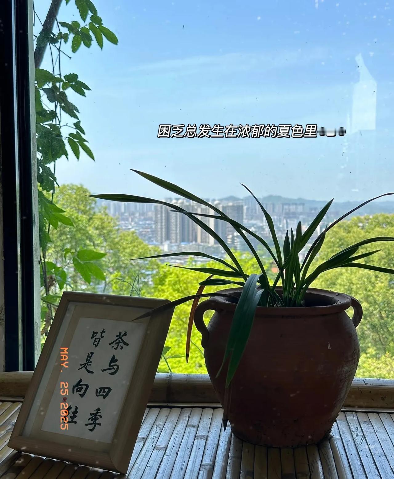 你到底能感受多少个夏天🍃” 夏日plog分享