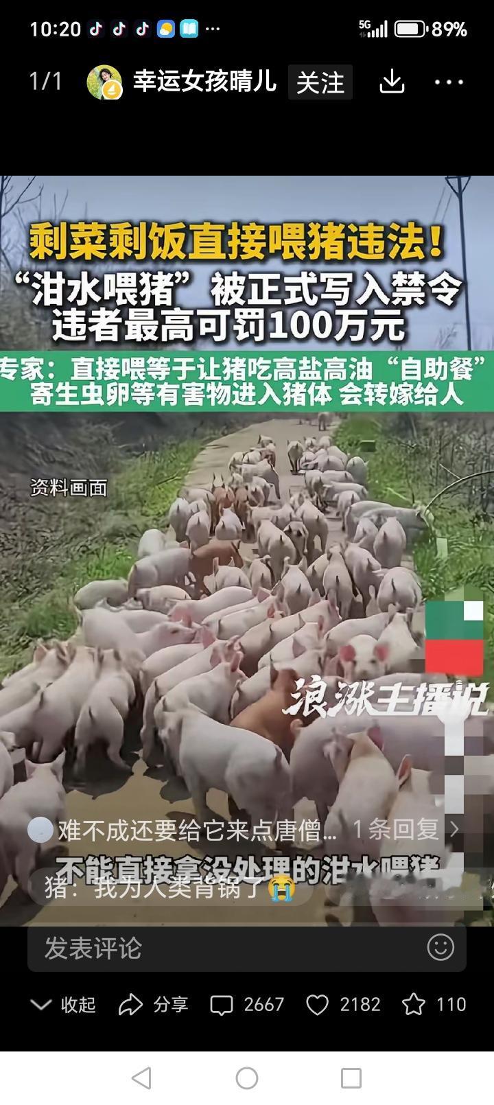 这是真的吗？