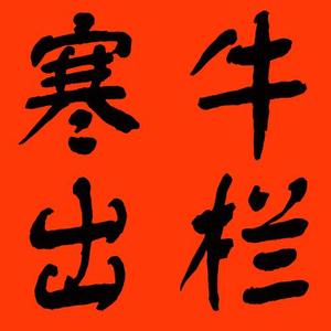 寒牛出栏啦