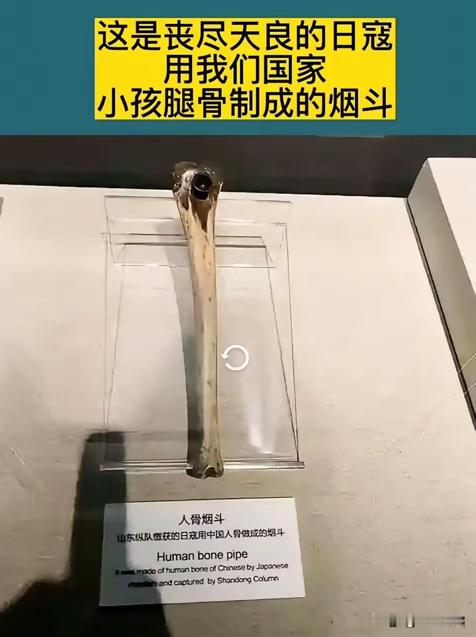 展柜里的这只人骨烟斗，是日寇用中国孩童腿骨制成的罪证。冰冷的骨管里，藏着侵略者的