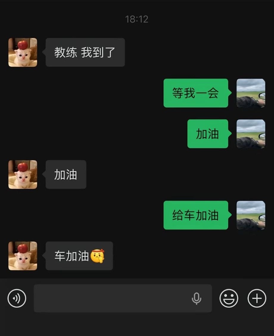 我考驾照智商 
