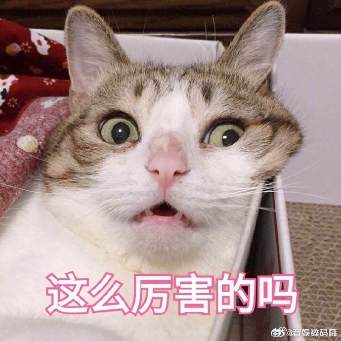 鸿蒙智行即将开启智驾安全科普营 数据不会说谎 ——162 万次避险见证安全底气。