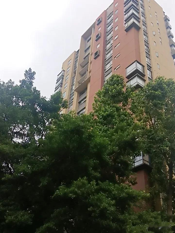 广东降温下雨了。