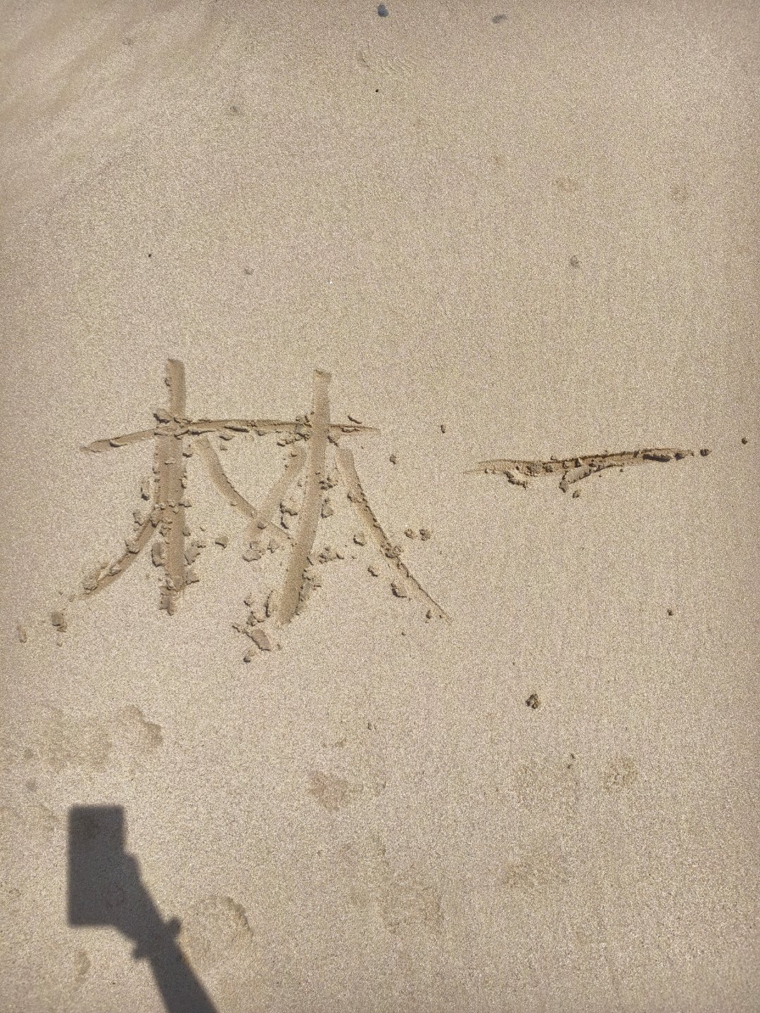 林一傅识则  💙林一折月亮 林一，我在牛岛了，你在哪