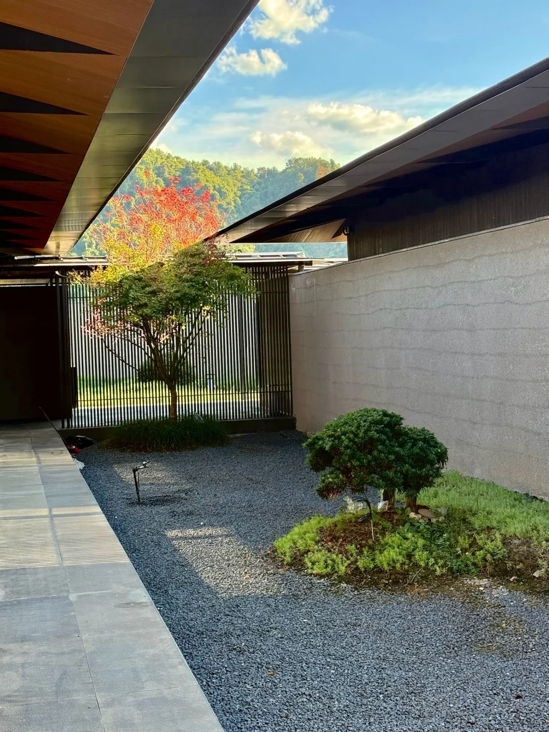 建德…我的假期就该浪费在这种地方(live)