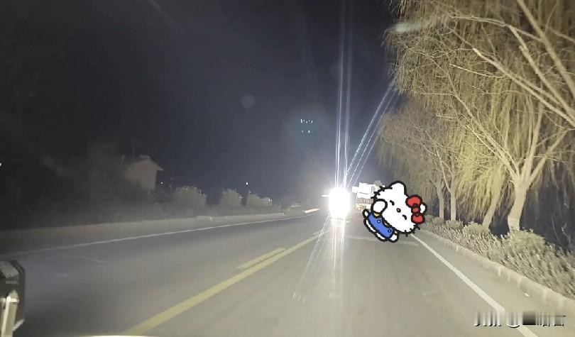 感动，临沂一青年夜晚照亮货车司机回家的路
近日，临沂一小伙在费县胡阳地界夜间正常