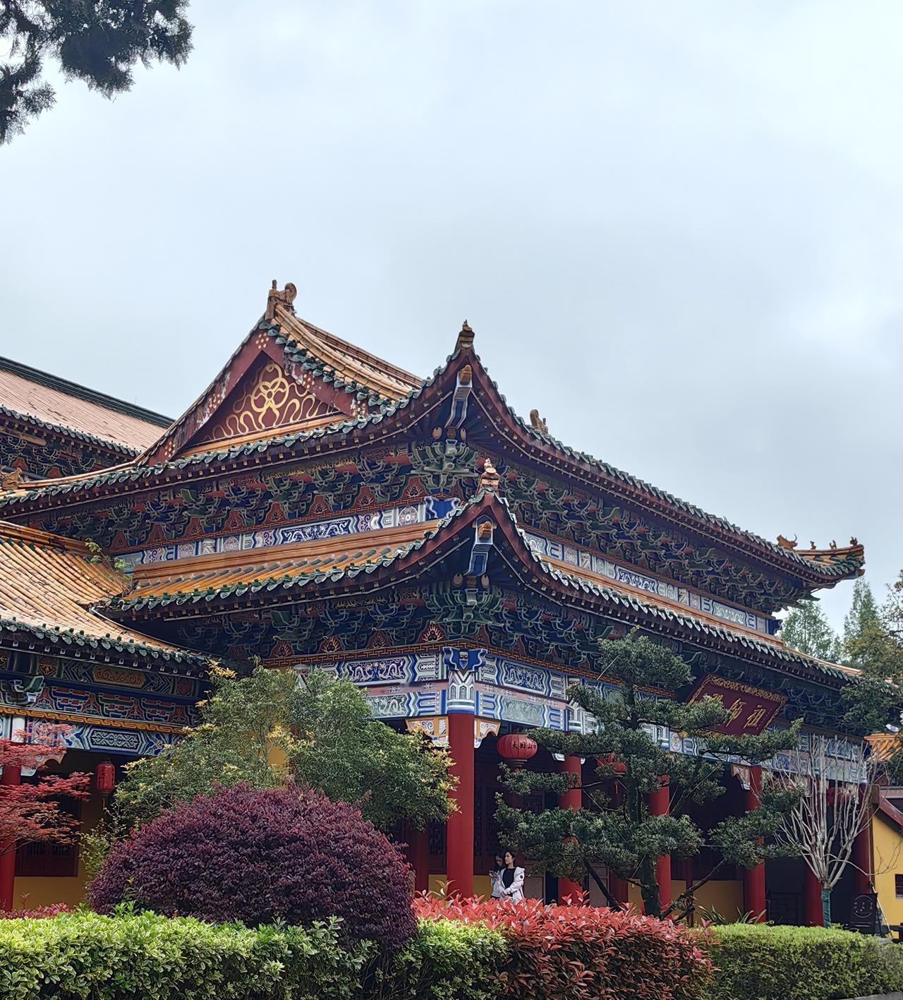 如果今天低开并大跌，你敢买入吗？
    在股市里，这大跌急跌时的操作门道可太多