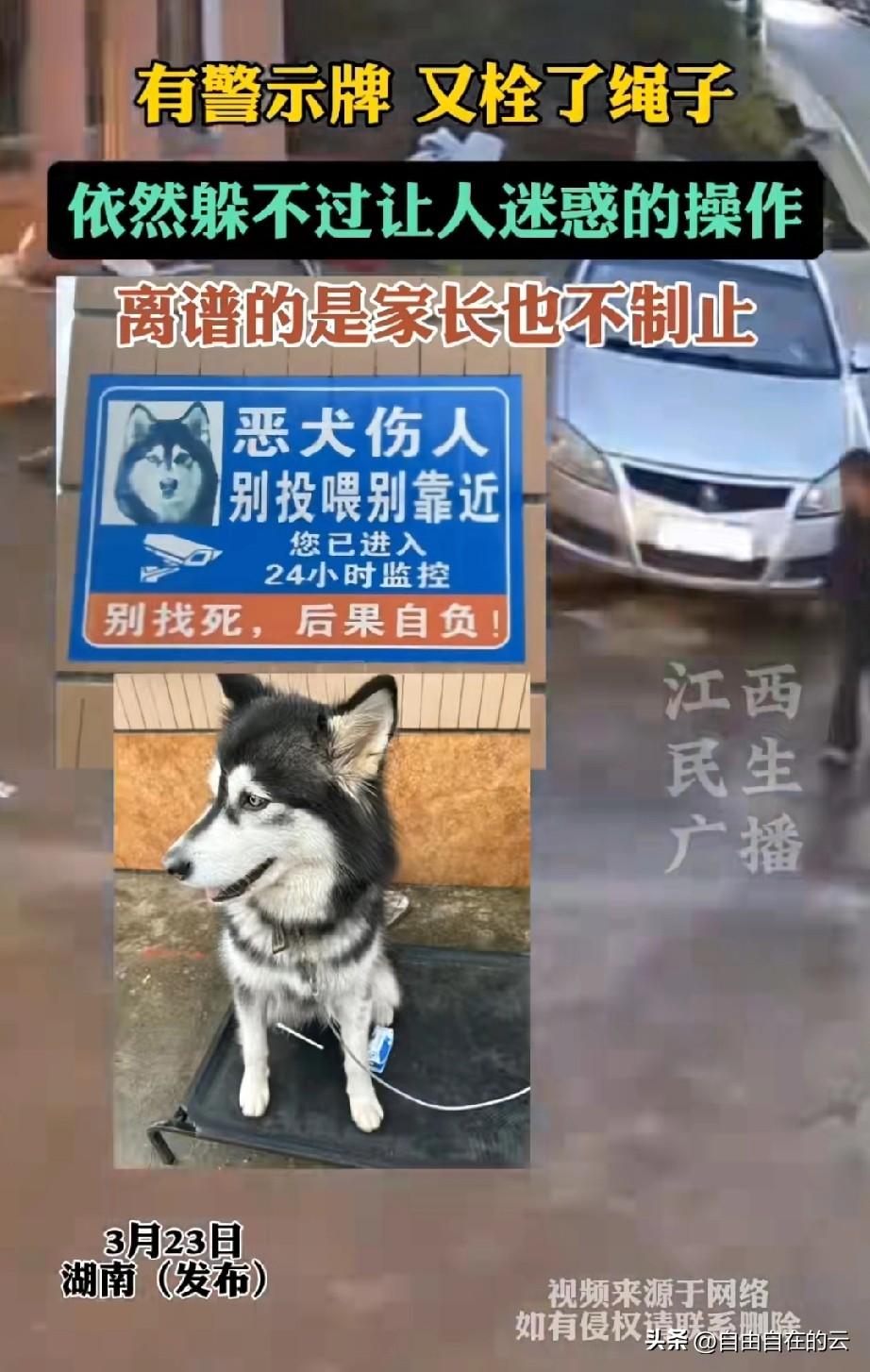 不能理解这是什么心理。湖南，明明路边牌子上写着这是恶犬，容易伤人，不让靠近，后果