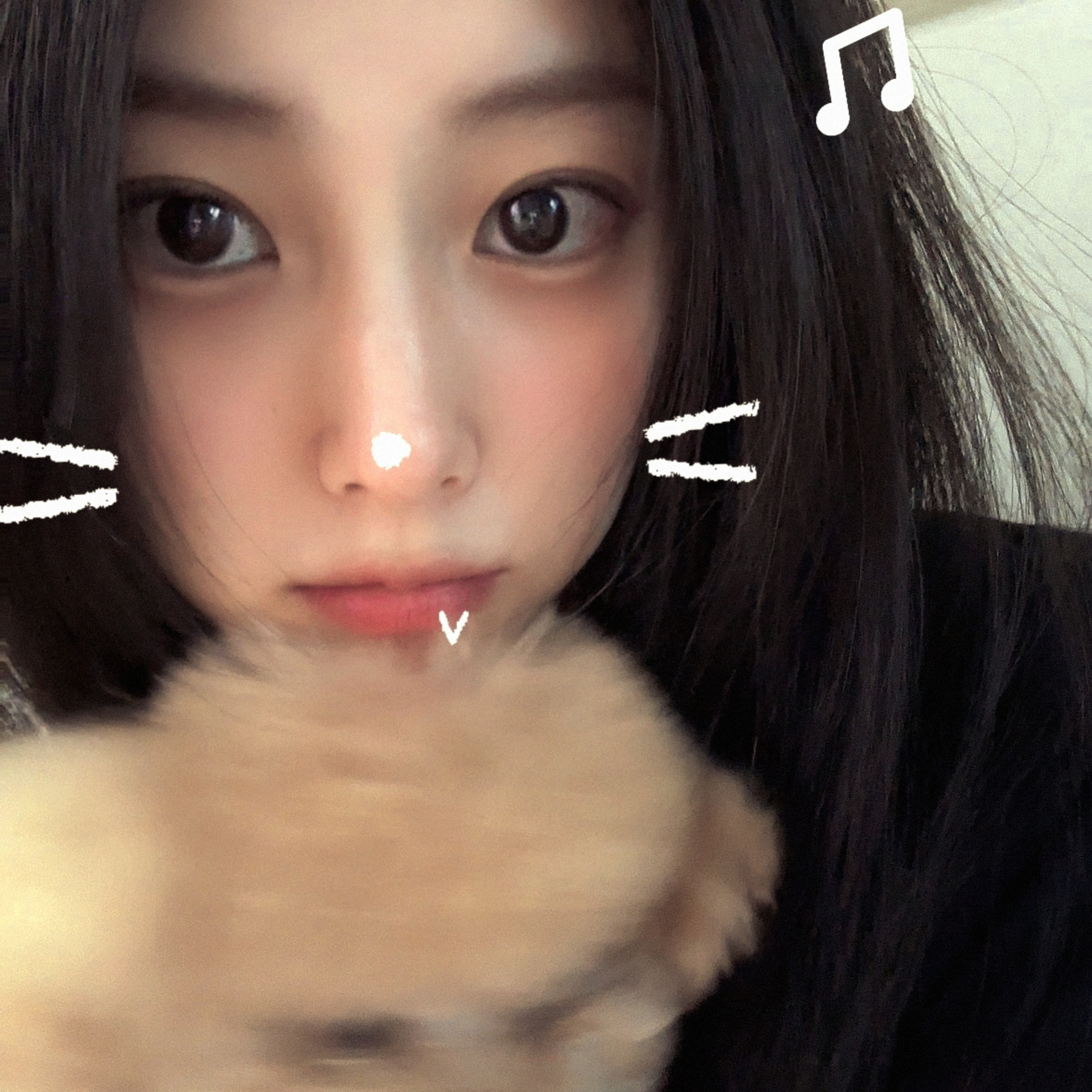 Hyewon姜惠元 °🌿🧸 