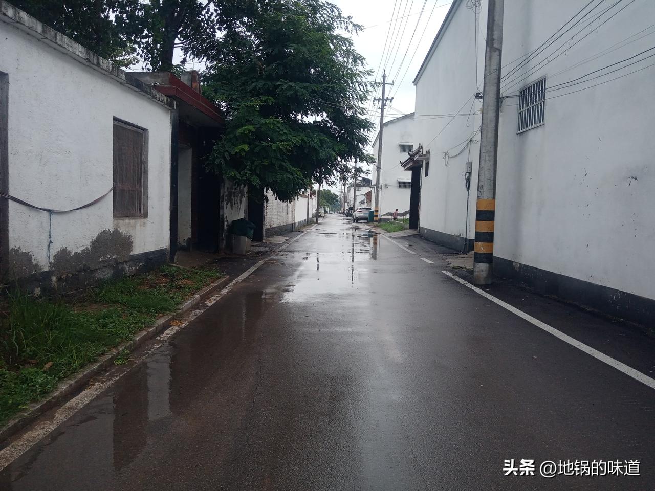 大家发现没有
今年六月初二入伏，很多地方都在下雨，老话说“雨落伏头，伏伏雨”
看