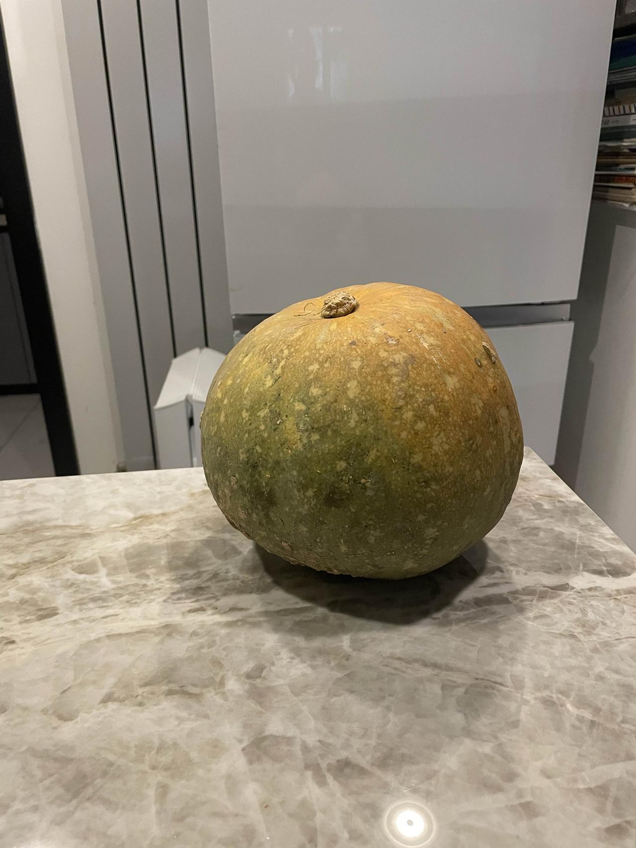 今年元旦我们开车近60公里到昌平白羊城风景区游玩。往回走时，路过流村环岛东边的果