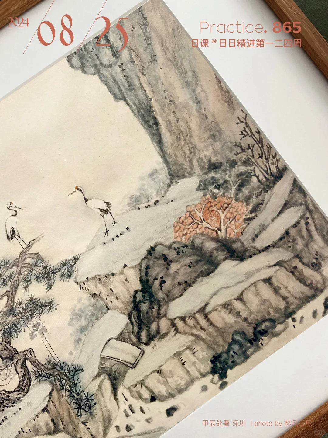 鹤台｜放了颗温柔的心在身上