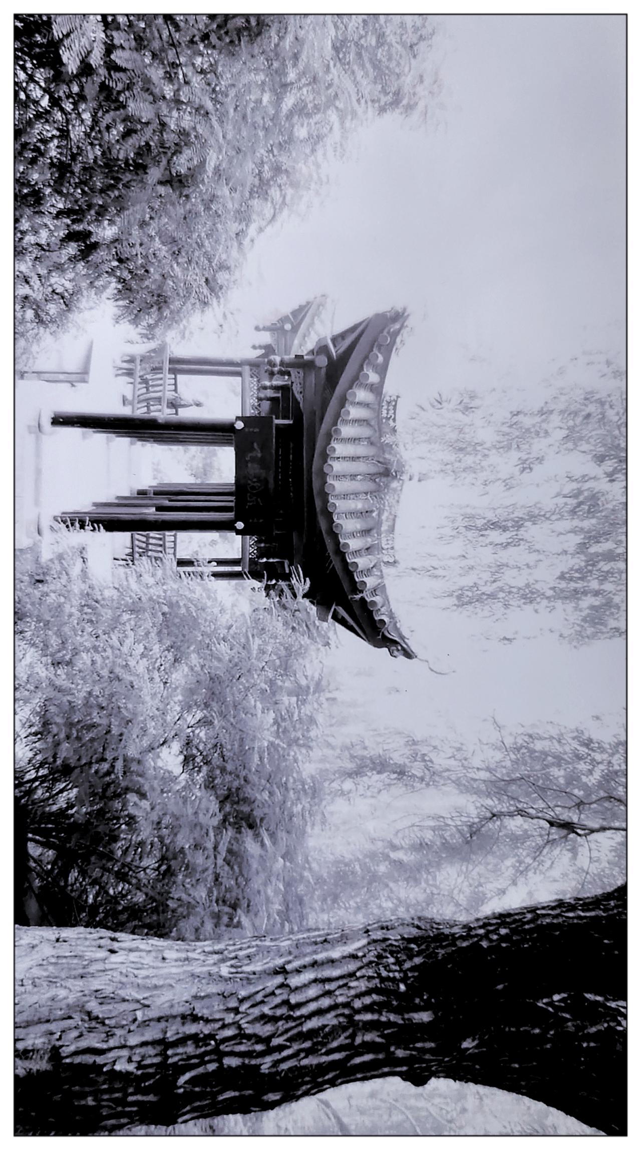 雾里观景