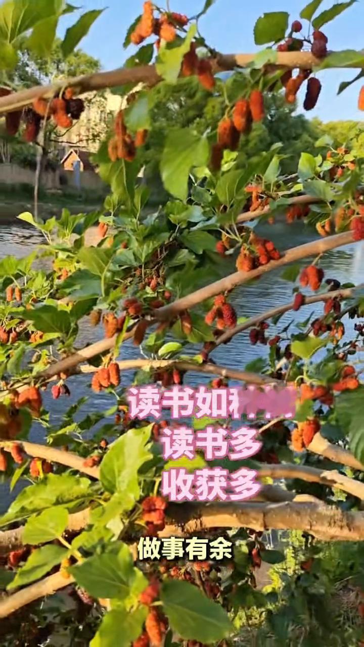 读书如种树，读书多收获多。
读书世界就在眼前，不读书眼前就是世界。读书不一定能前