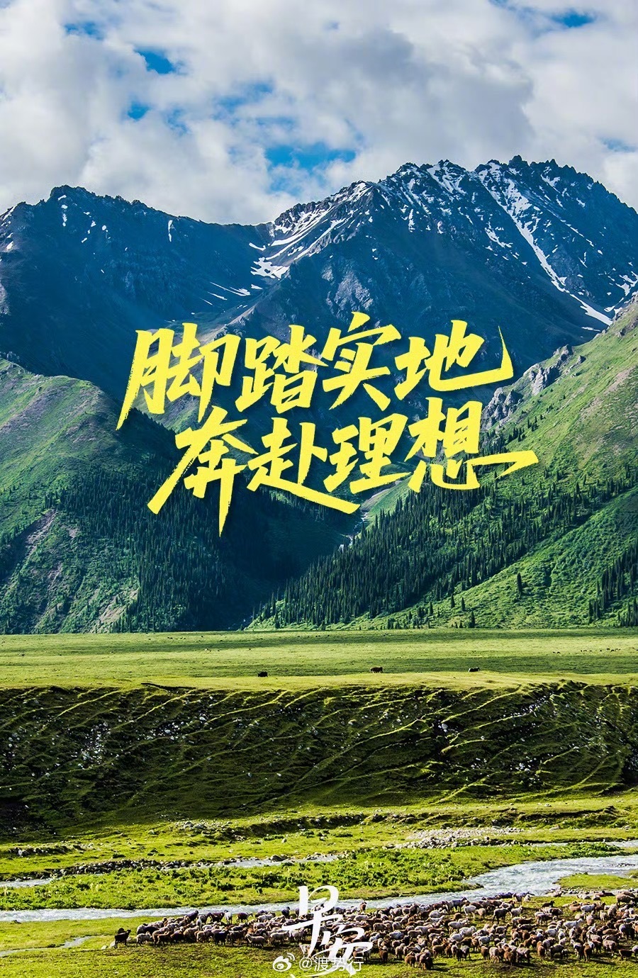 晨光熹微，万物生长。✨我们奔赴的理想，不在远方的幻梦里，而在当下的汗水中。允许自