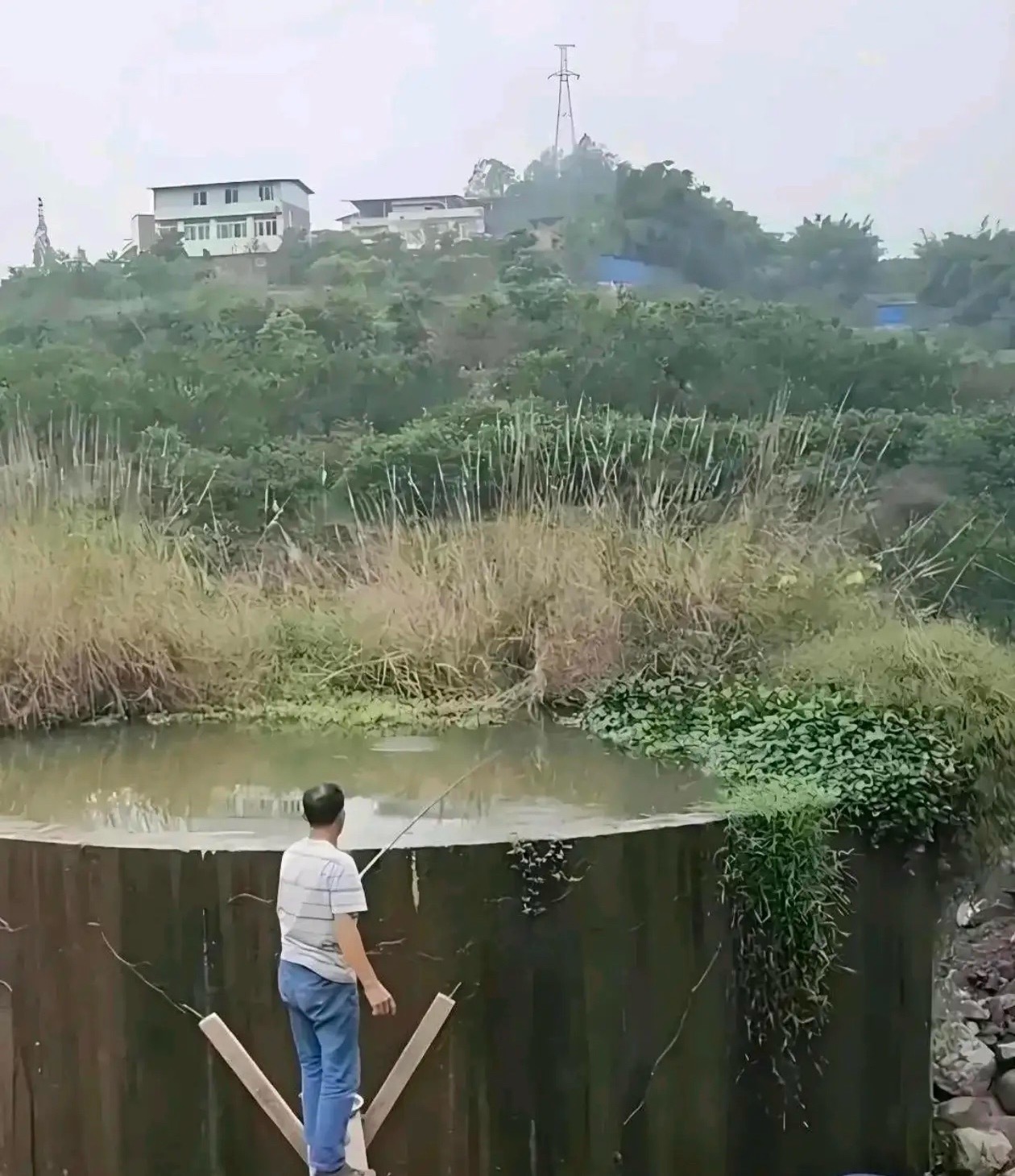 这大爷是怎么知道这里面有鱼呢？ 