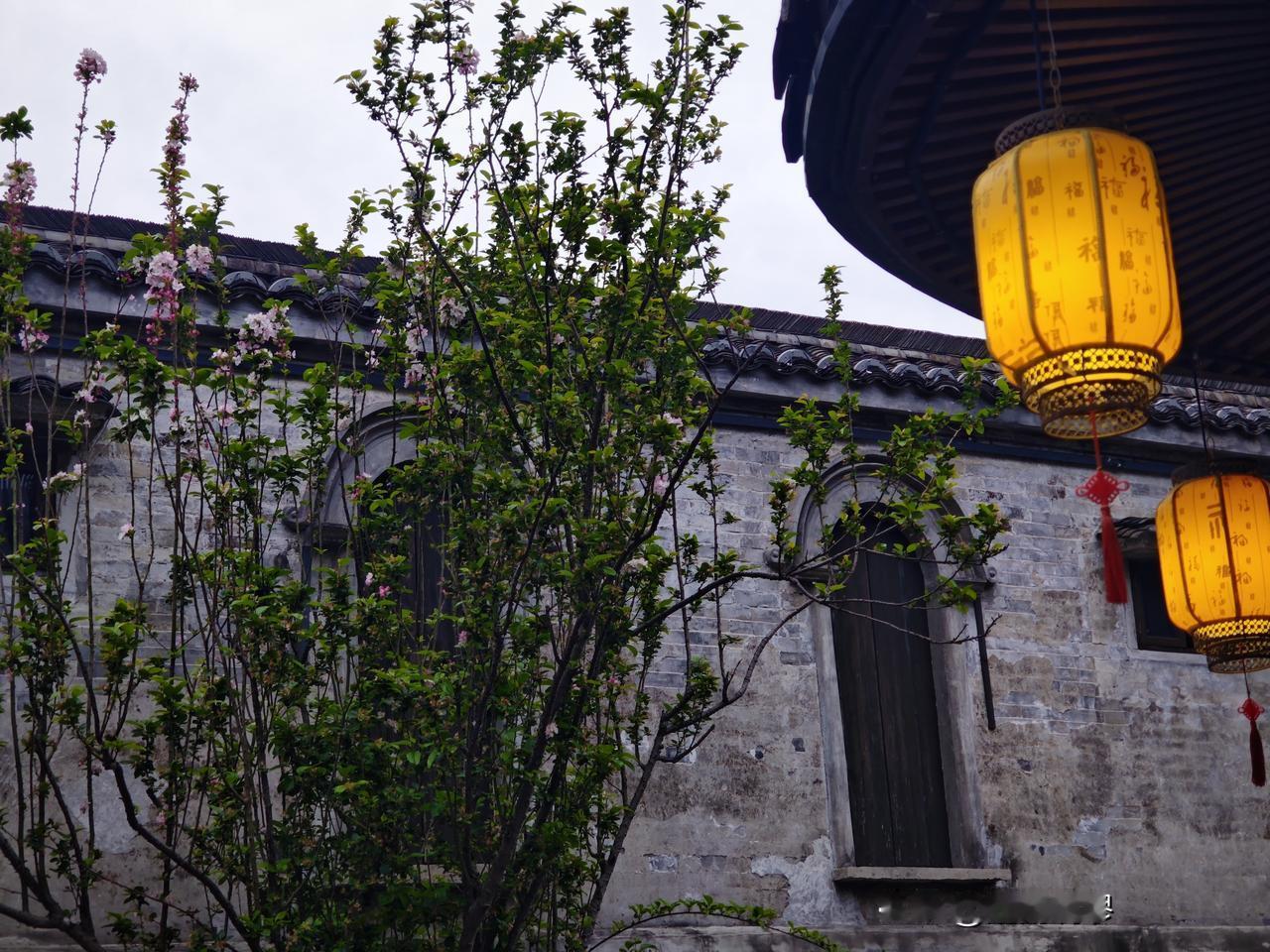 天台 —— 又是一座我见过许多被山围绕着的县城之一，宜人的气候和云山雾绕的感觉总