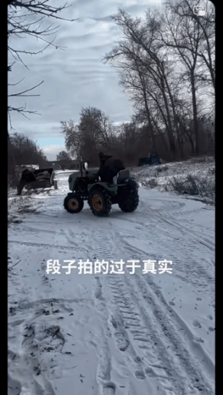 直直的撞上了，
路边就一棵树，
他就冲着去了！