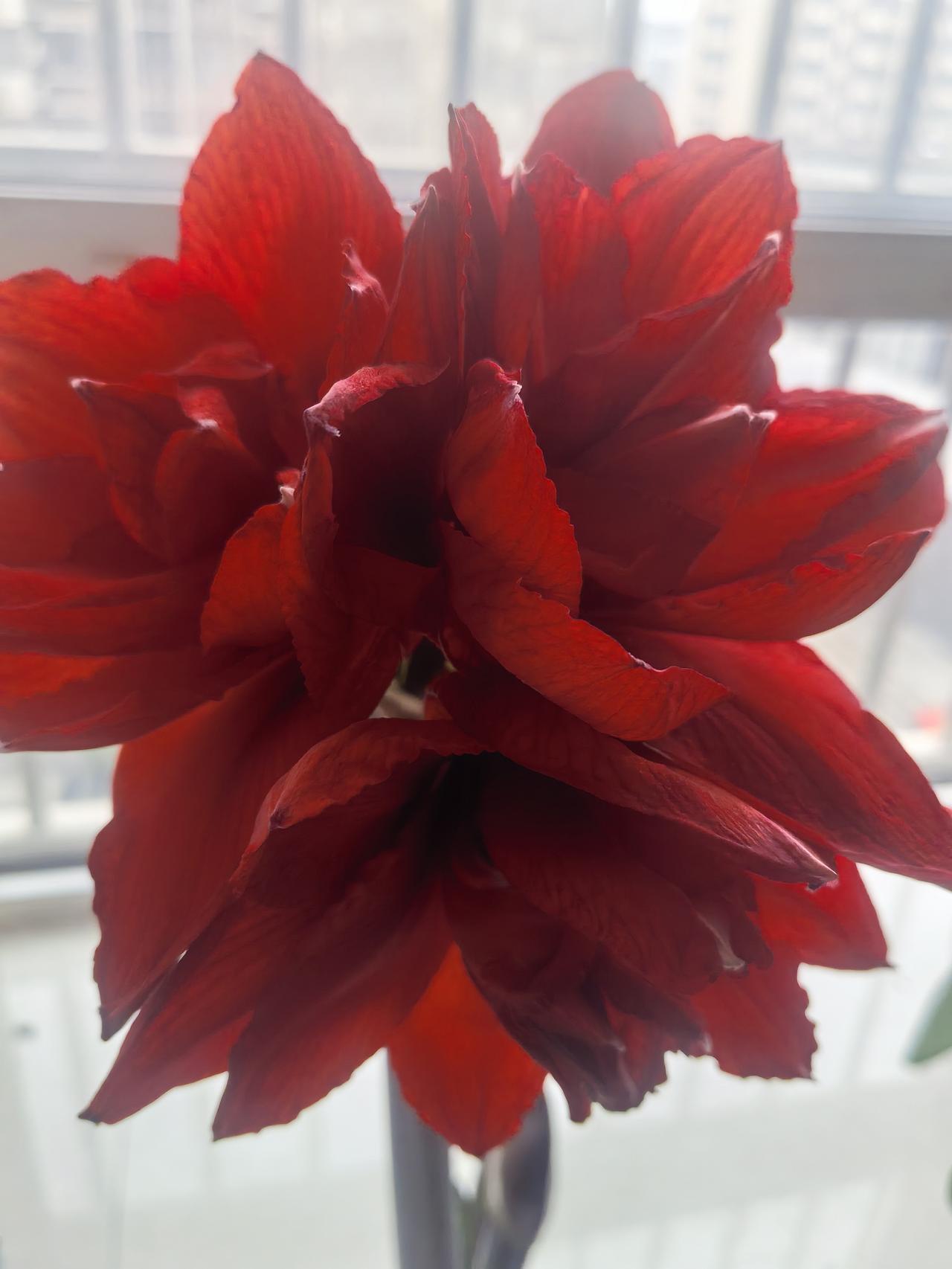 自知徐娘已半老，
青春逝去再难找。
能慢一秒是一秒，
自律知足心情好。