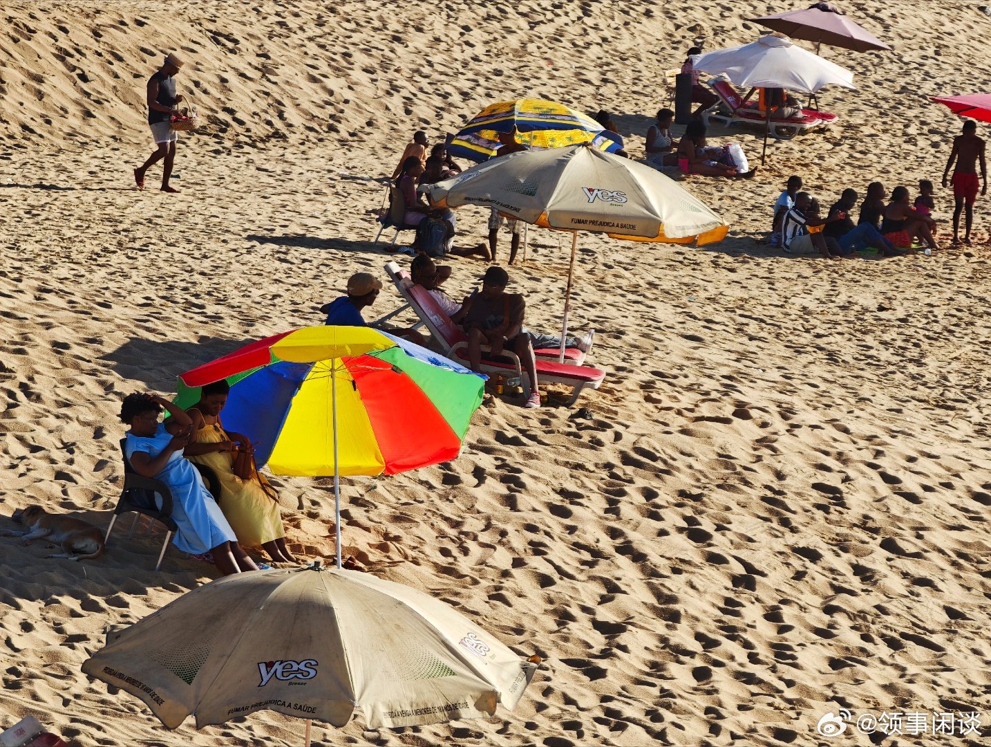 小米莱卡跟着领事看非洲