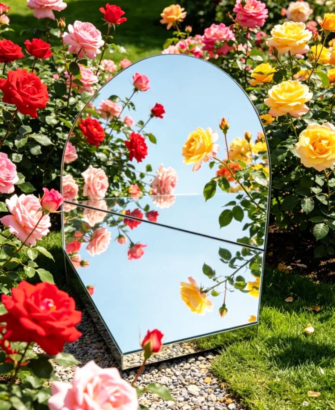 苏州月季公园～

每一朵花，
  都藏着，
春日的小心思。

春天短暂，
浪漫悠