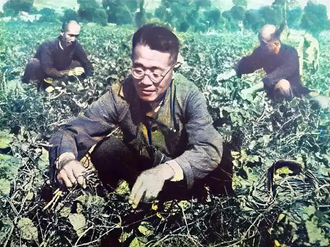 功德林特赦的首批国军战犯

第一位：杜聿明。杜聿明曾是蒋介石十分倚重的得力将领，