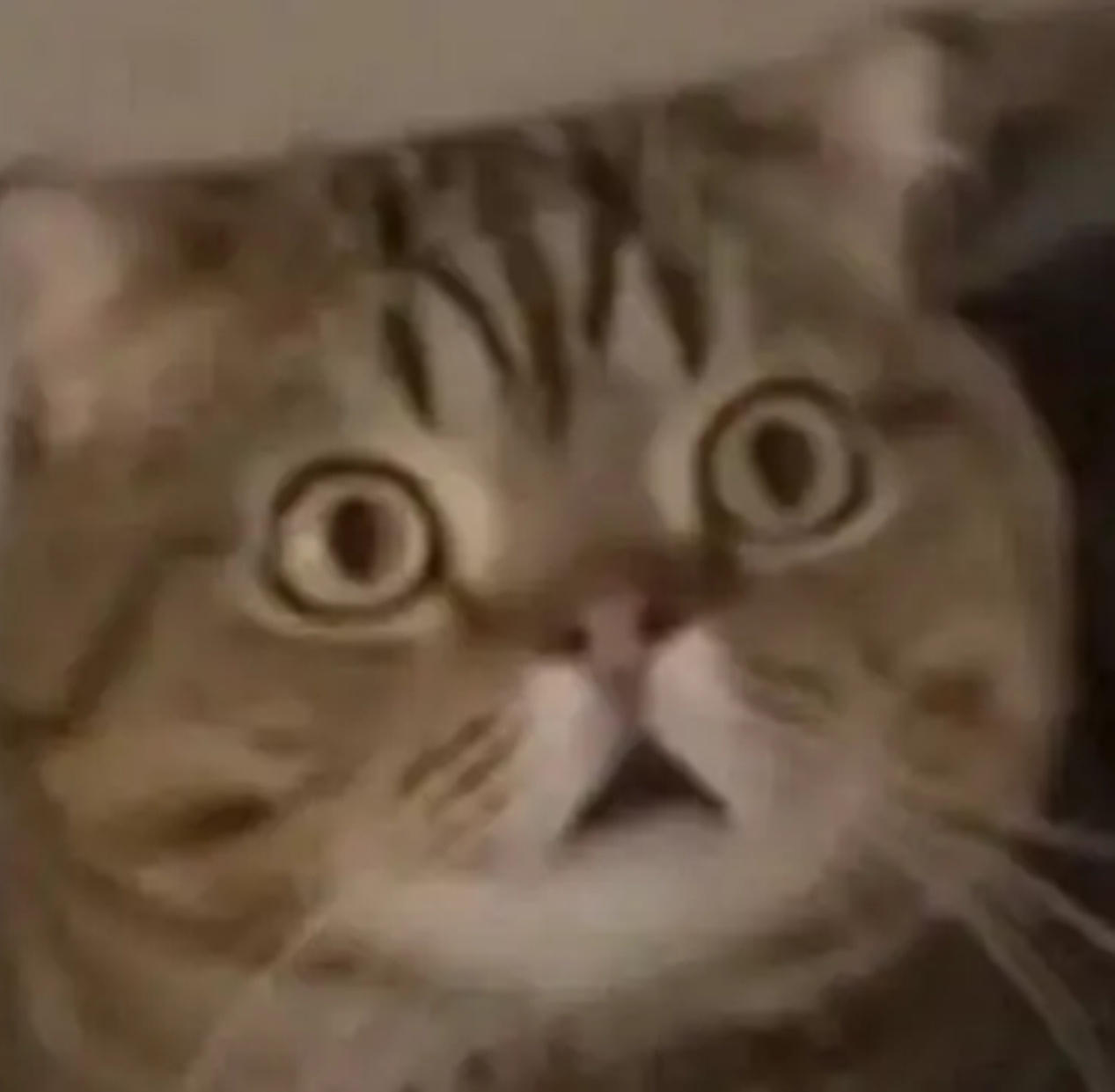 一觉醒来看到欧冠结果的我： ​​​